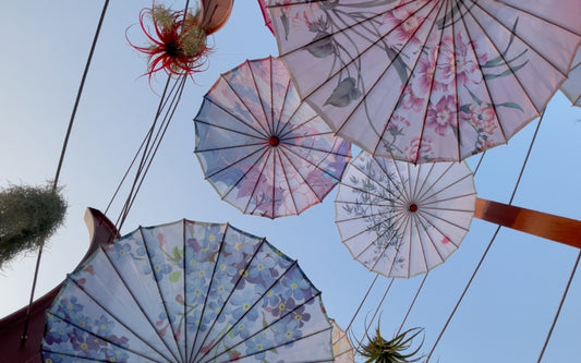 What Are Oil Paper Umbrellas?-You Zhi San